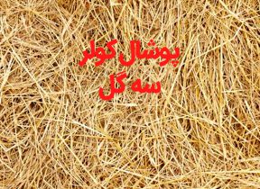 پوشال